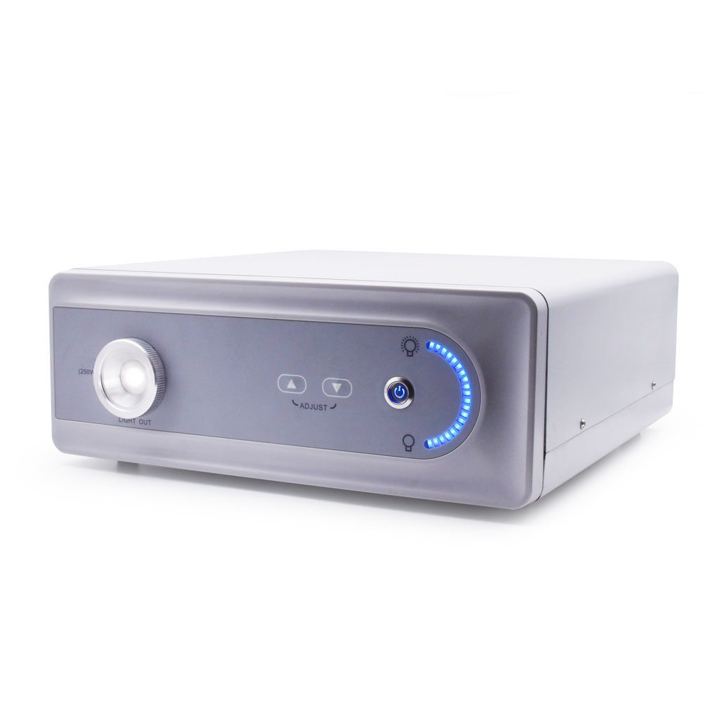 XD-300-250W